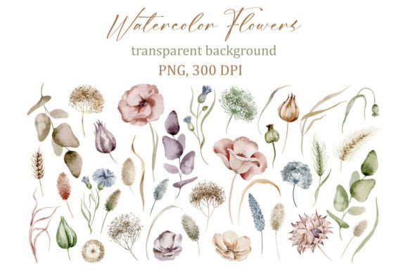 Download Delicate Watercolor Floral Elements, PNG - Floral elements Collection