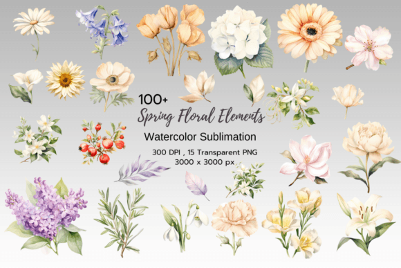 Download Spring Floral Elements Clipart Bundle - Floral elements Collection